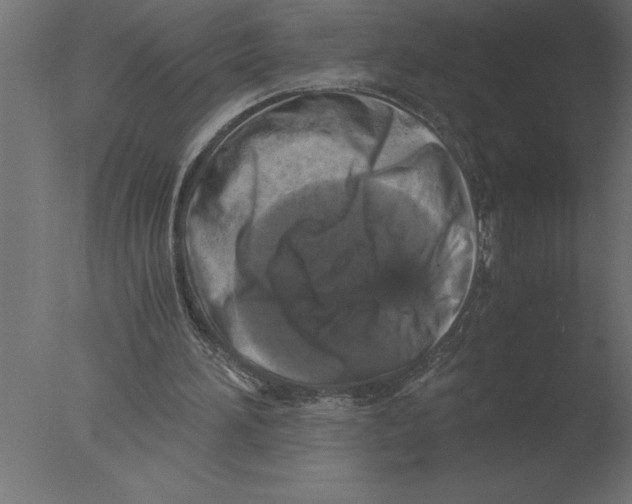 X0000076090196200610202118