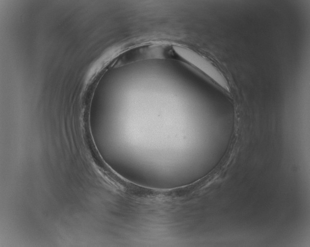 X0000076090197200610202118