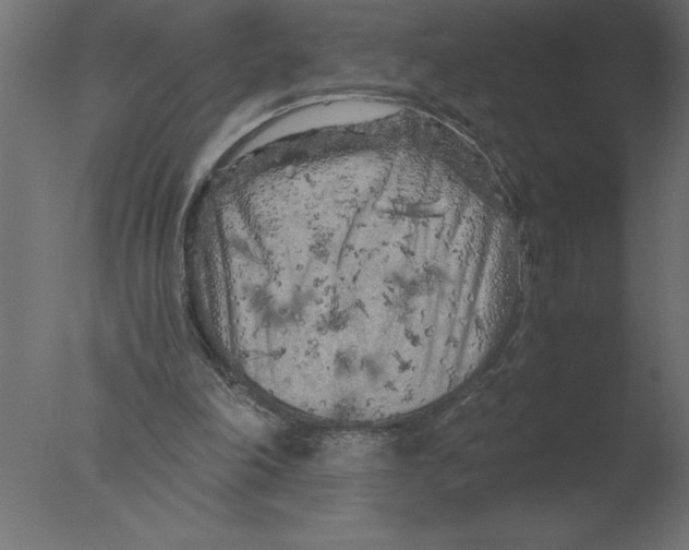 X0000076090198200610202118