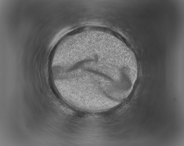 X0000076090199200610202118