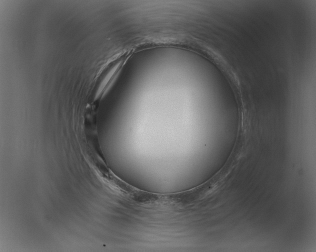 X0000076090201200610202118