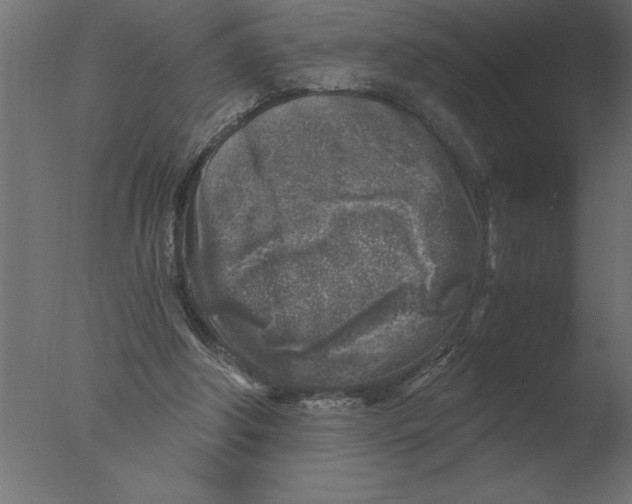 X0000076090202200610202118