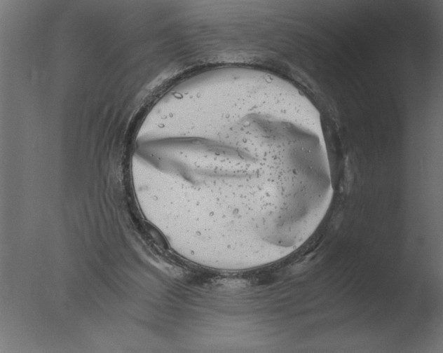 X0000076090203200610202117