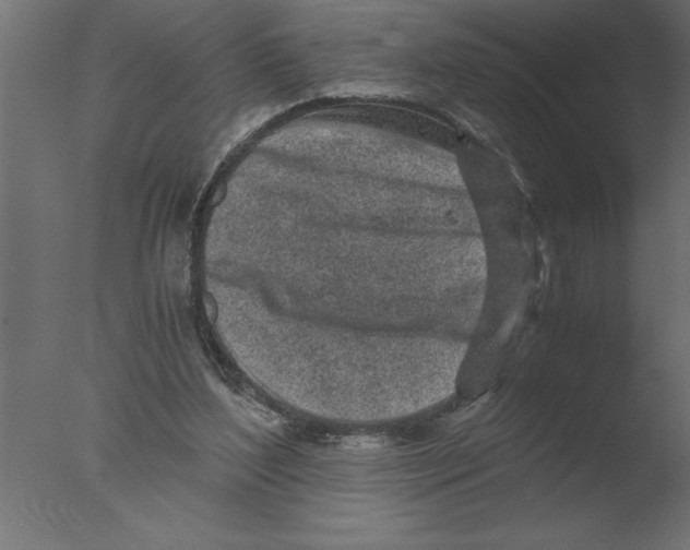 X0000076090204200610202117