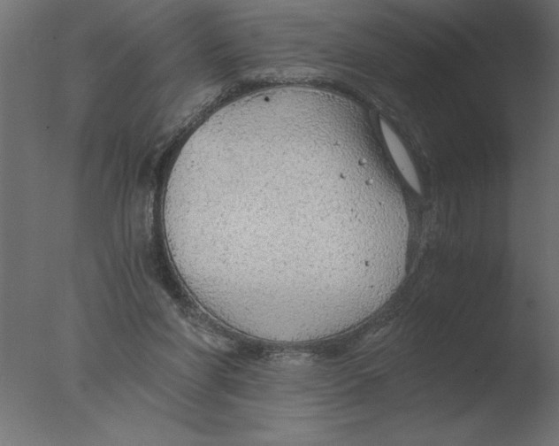 X0000076090206200610202117