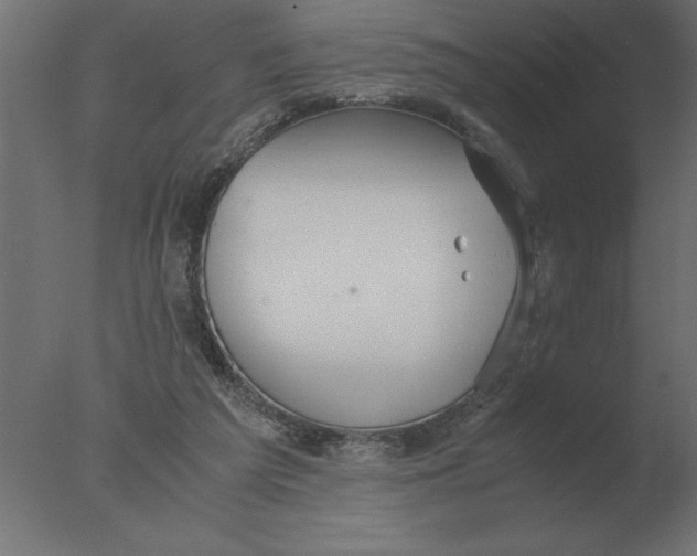 X0000076090209200610202117