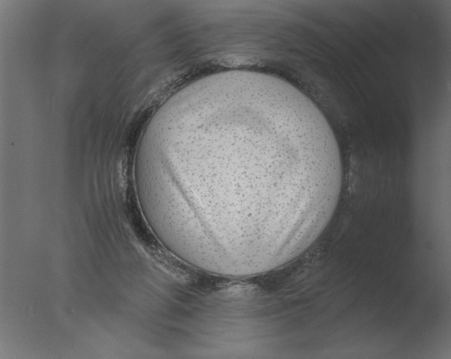 X0000076090210200610202117