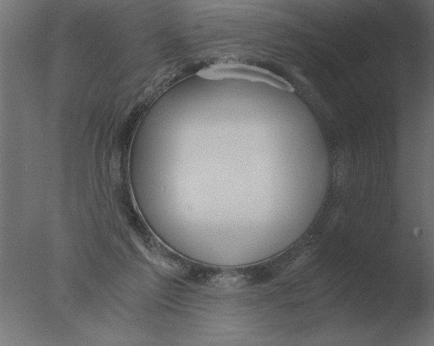 X0000076090213200610202117