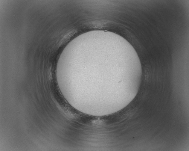 X0000076090216200610202117