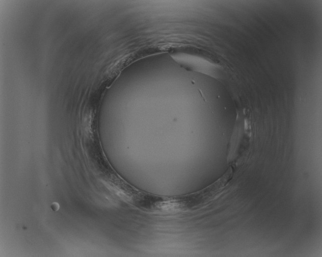 X0000076090219200610202117