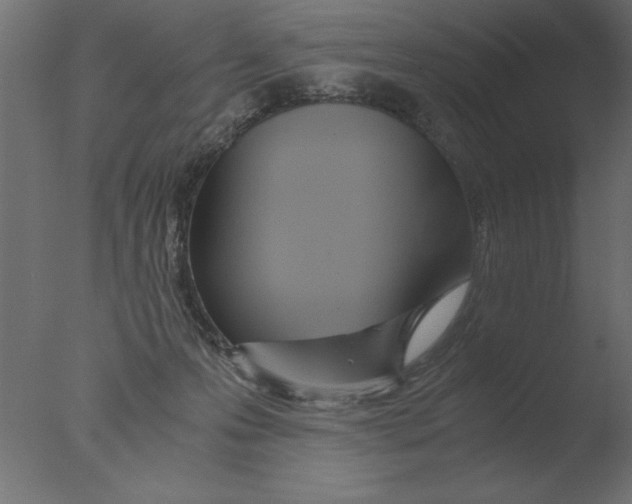 X0000076090223200610202117