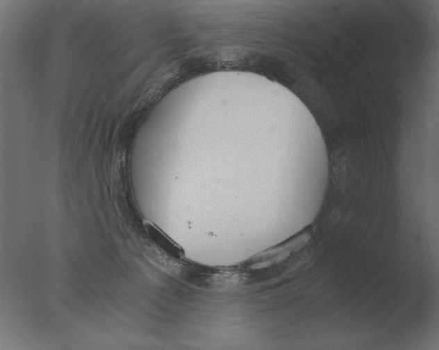 X0000076090225200610202117