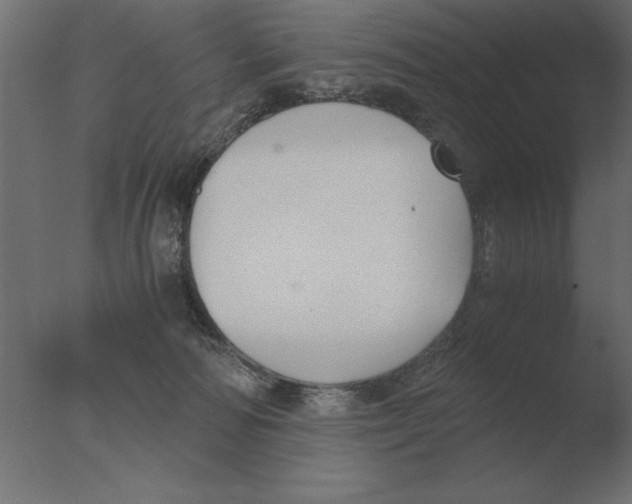 X0000076090226200610202117