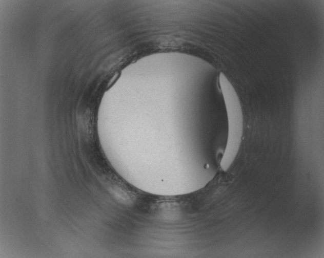 X0000076090228200610202117