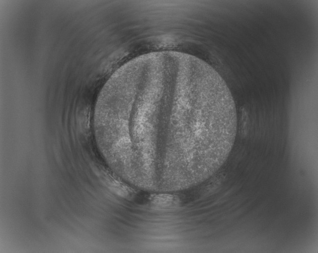 X0000076090230200610202117