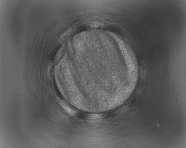 X0000076090233200610202117