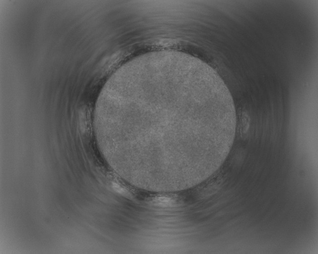 X0000076090236200610202117