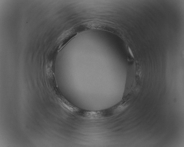 X0000076090239200610202117