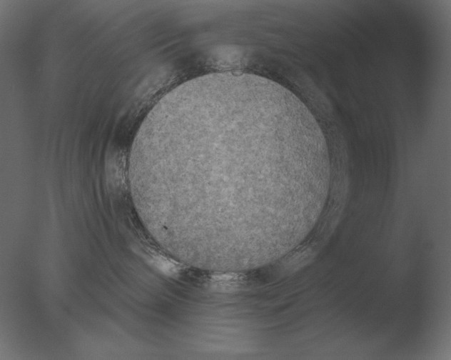 X0000076090240200610202117