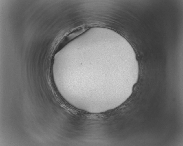 X0000076090241200610202116