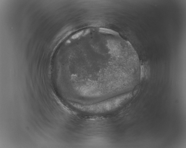 X0000076090243200610202116