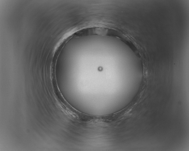 X0000076090244200610202116