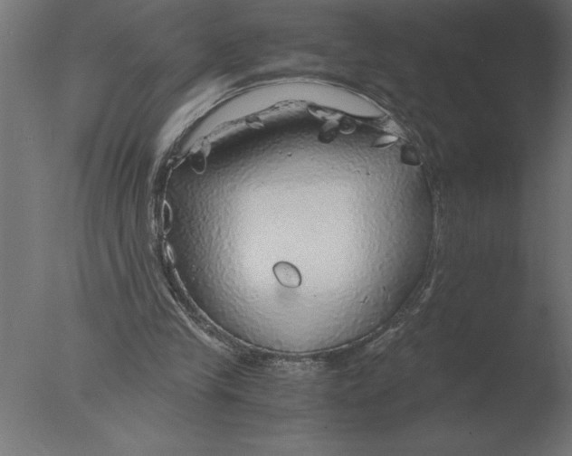 X0000076090245200610202116