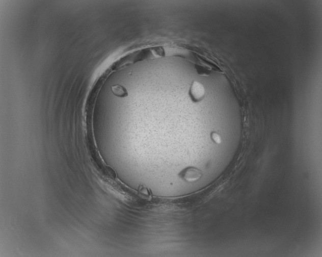 X0000076090246200610202116