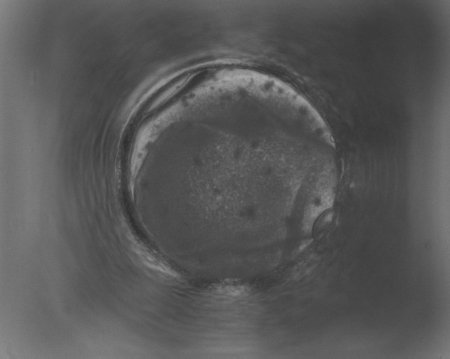 X0000076090247200610202116