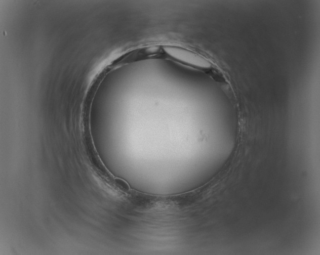 X0000076090248200610202116