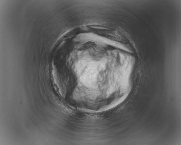 X0000076090249200610202116