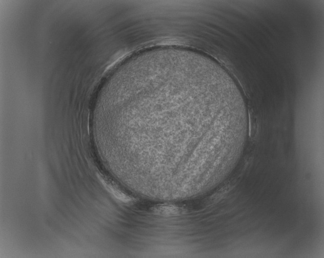 X0000076090253200610202116