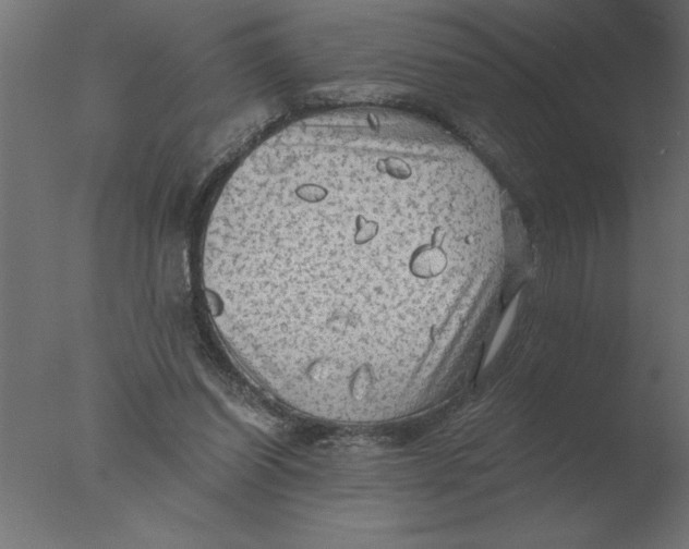 X0000076090254200610202116