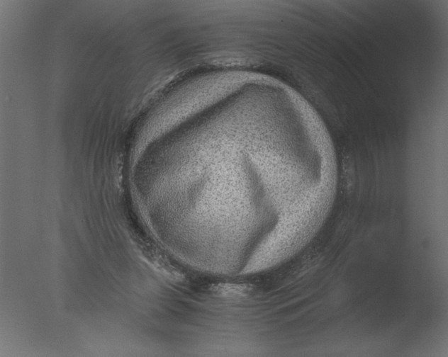 X0000076090255200610202116