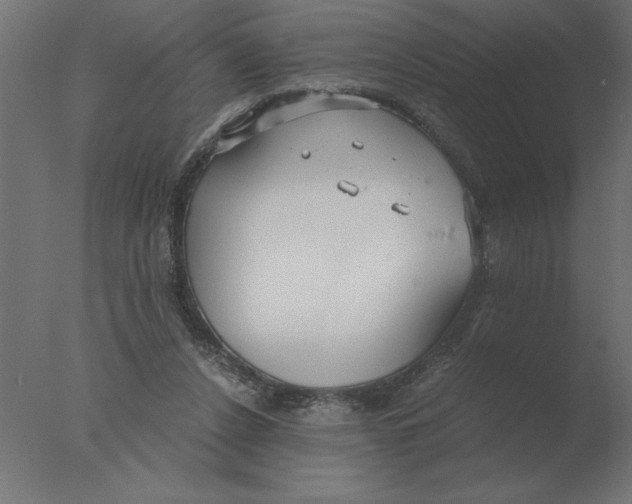 X0000076090256200610202116