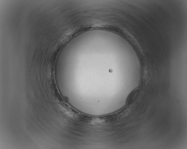 X0000076090257200610202116