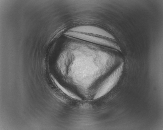 X0000076090258200610202116