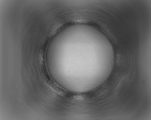 X0000076090259200610202116