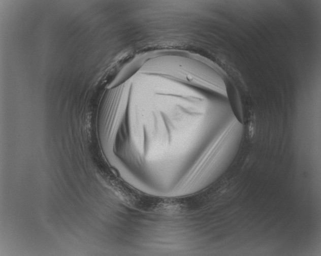 X0000076090260200610202116