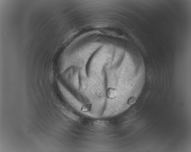 X0000076090261200610202116