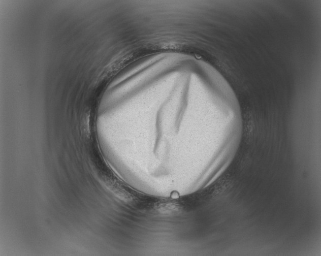 X0000076090262200610202116