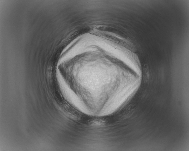 X0000076090263200610202116