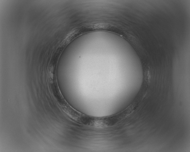 X0000076090264200610202116