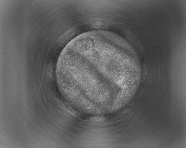 X0000076090266200610202116