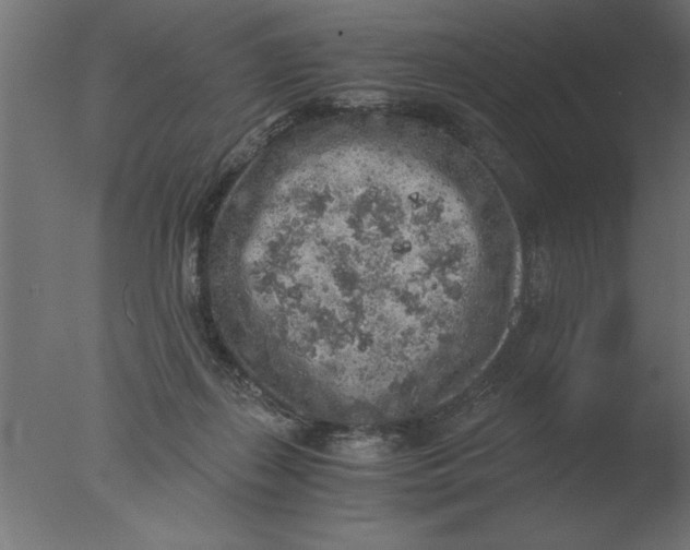 X0000076090267200610202116