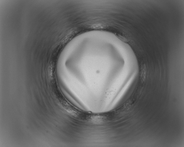 X0000076090268200610202116