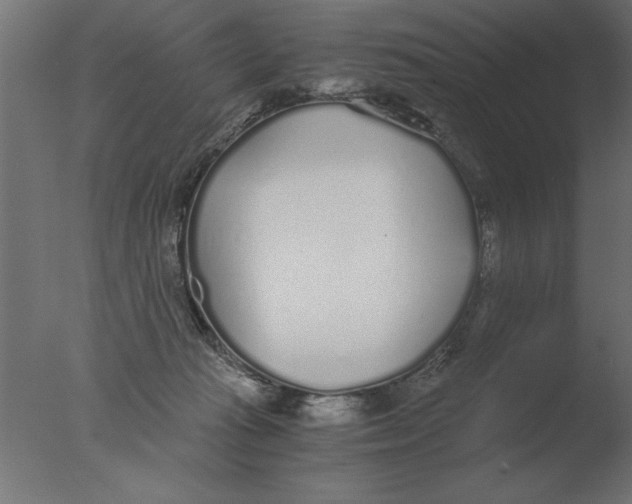 X0000076090269200610202117