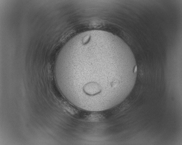 X0000076090270200610202117