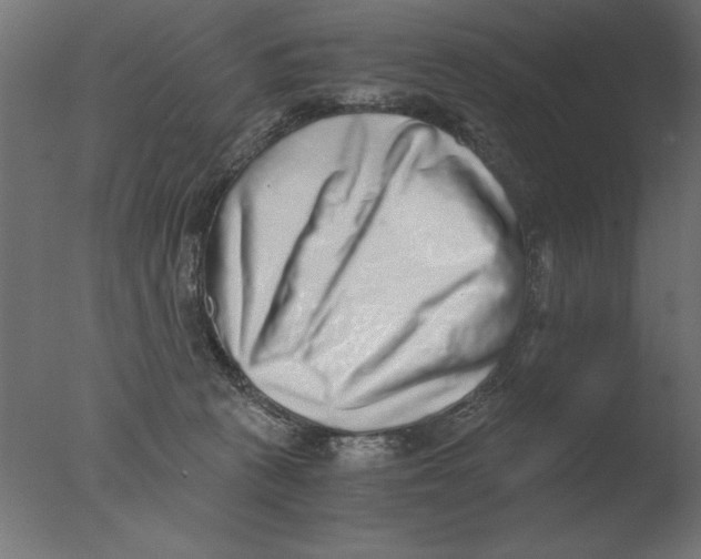 X0000076090273200610202117