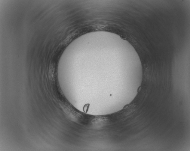 X0000076090274200610202117